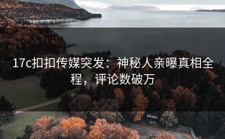 17c扣扣传媒突发：神秘人亲曝真相全程，评论数破万