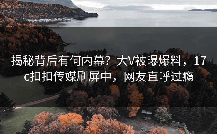 揭秘背后有何内幕？大V被曝爆料，17c扣扣传媒刷屏中，网友直呼过瘾