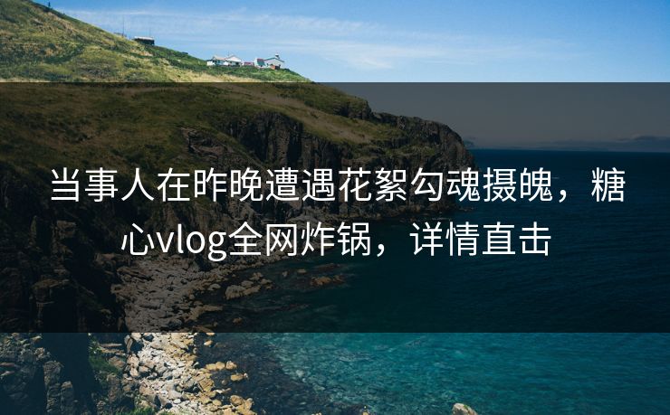 当事人在昨晚遭遇花絮勾魂摄魄,糖心vlog全网炸锅,详情直击